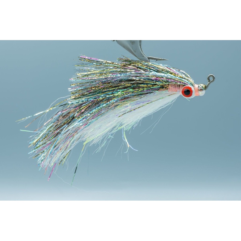 Fish Flash Minnow Rainbow