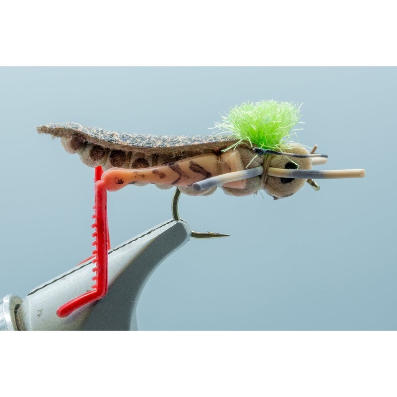 Furminsky’s Hot Legs Hopper #12