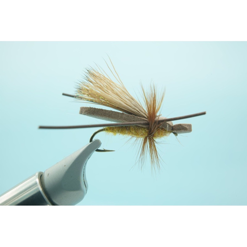 Gypsy King Variant Golden Stone