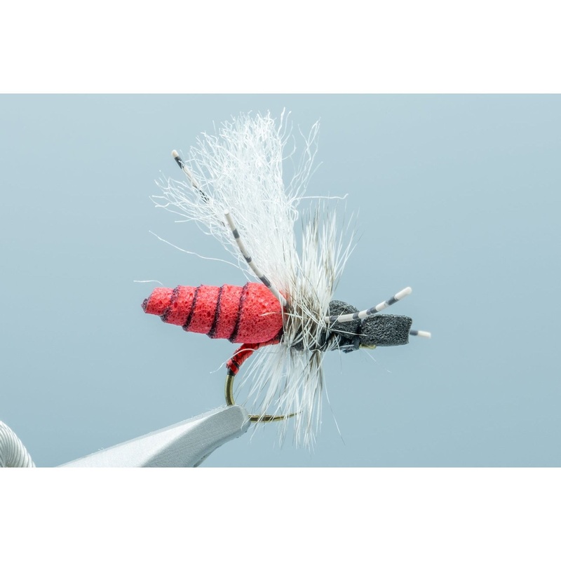 RNY Hegan Ant Black/Red #14