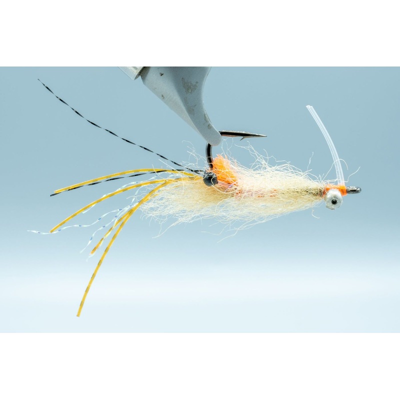 Spawning Shrimp BC Tan