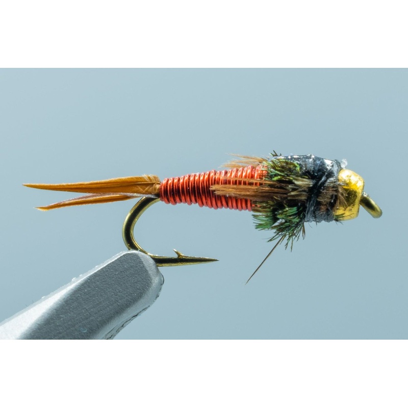 Barr’s Copper John Red
