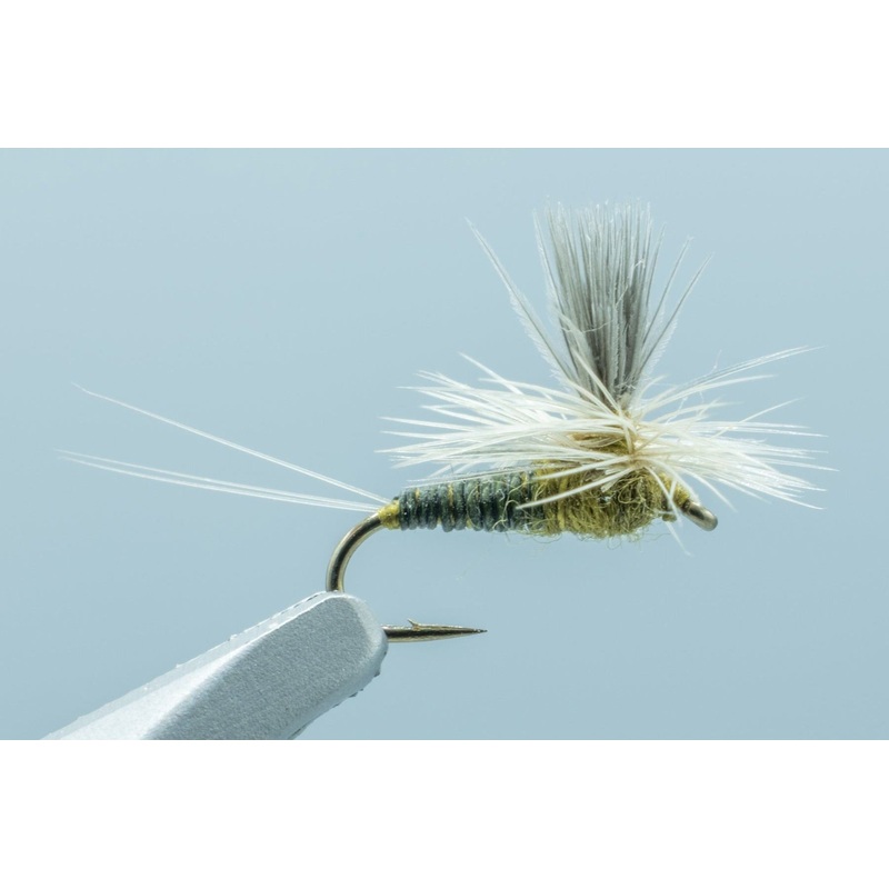 Parachute BWO