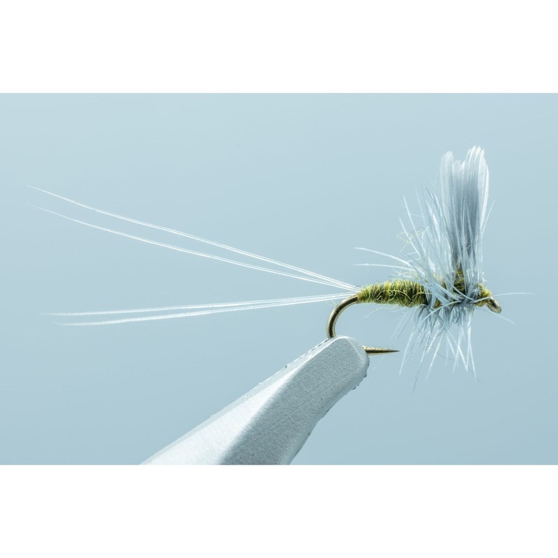 Razor Mayfly Baetis #20