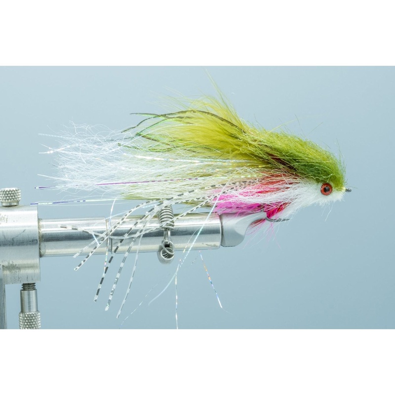 Satkowski’s Baby Rainbow