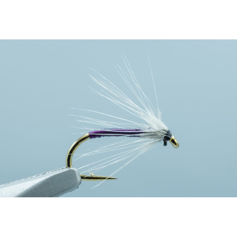 Snipe & Purple #14