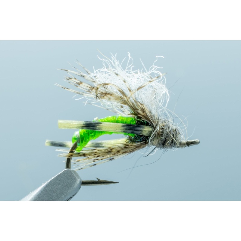 Taylor’s Gut Instinct Green #14