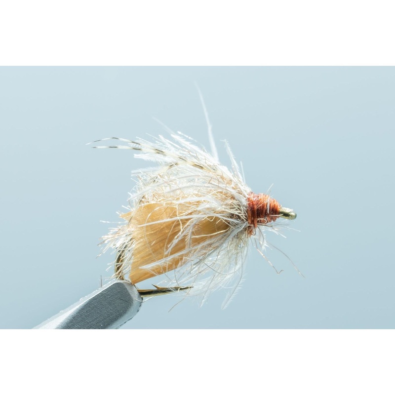 Translucent Pupa Tan #16
