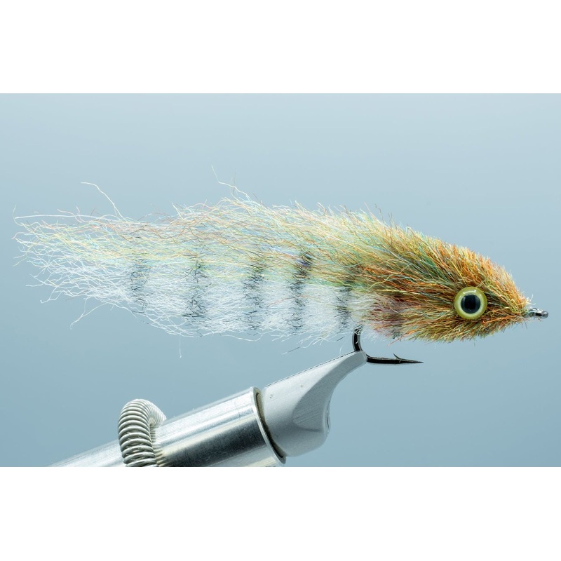 Little Minnow Shaded Back Country #4