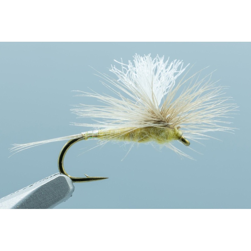 Mini Hot Mayfly Garcia Yellow #16