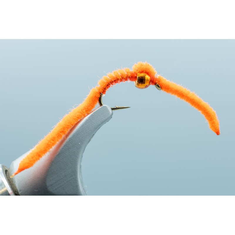 Fire Orange Worm #16