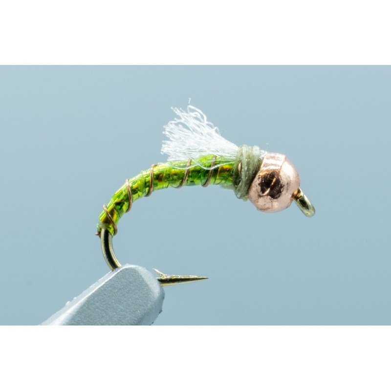 Lexi Holo-Z Midge Olive #18
