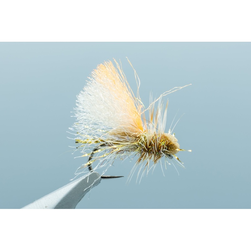 Mason’s Bant Cinnamon/Gold #12