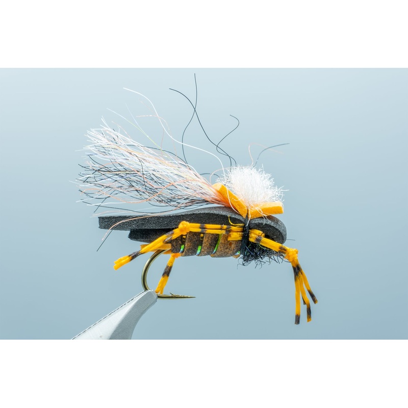 Mason’s Hipster Doofus Cicada #8