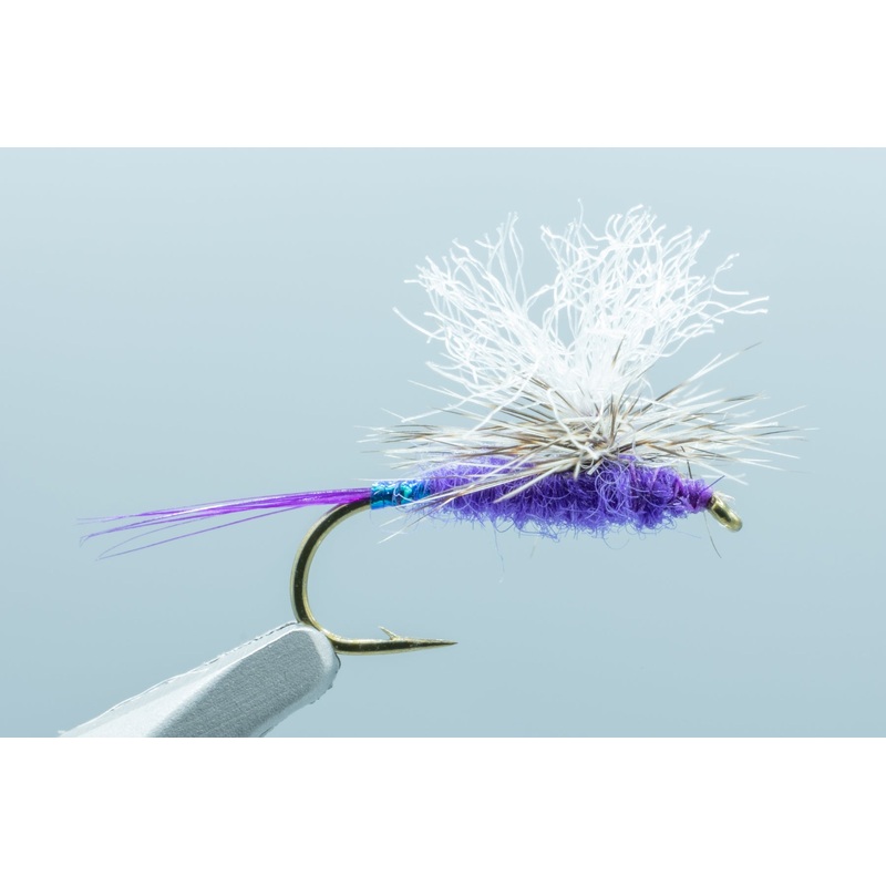 Mini Hot Mayfly Garcia Purple #14