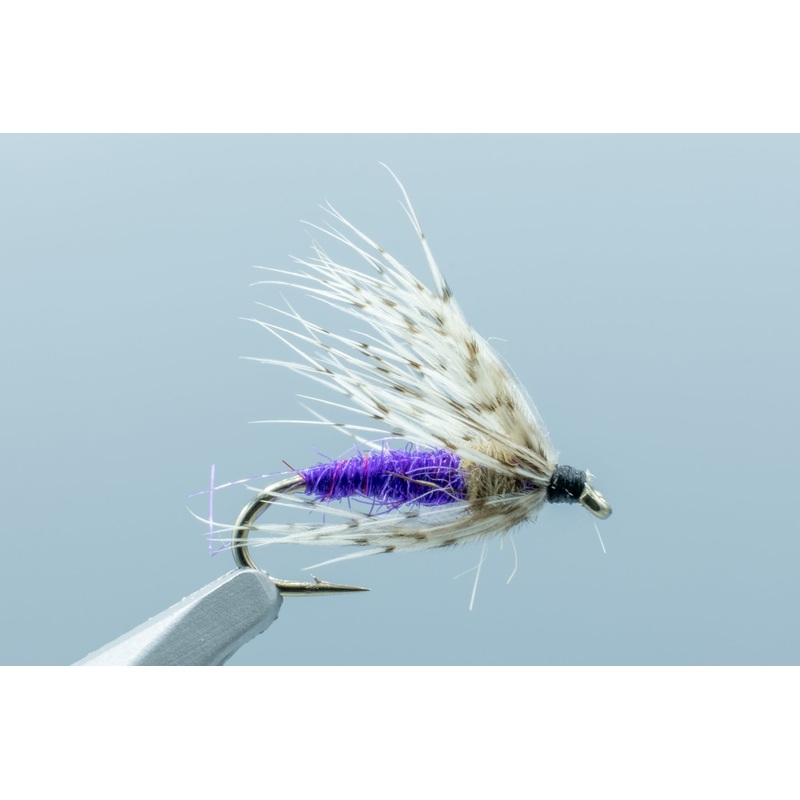 Partridge Soft Hackle Purple #14