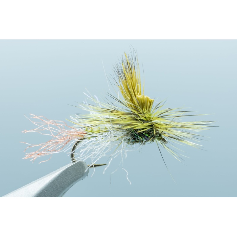 Staton’s Everything Dry Olive #16