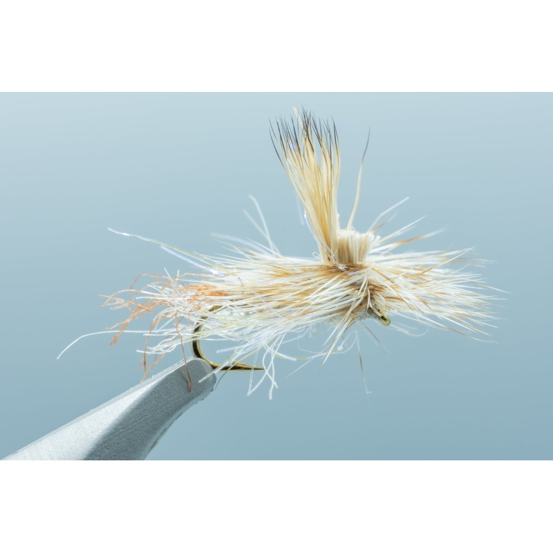 Staton’s Everything Dry Tan #16