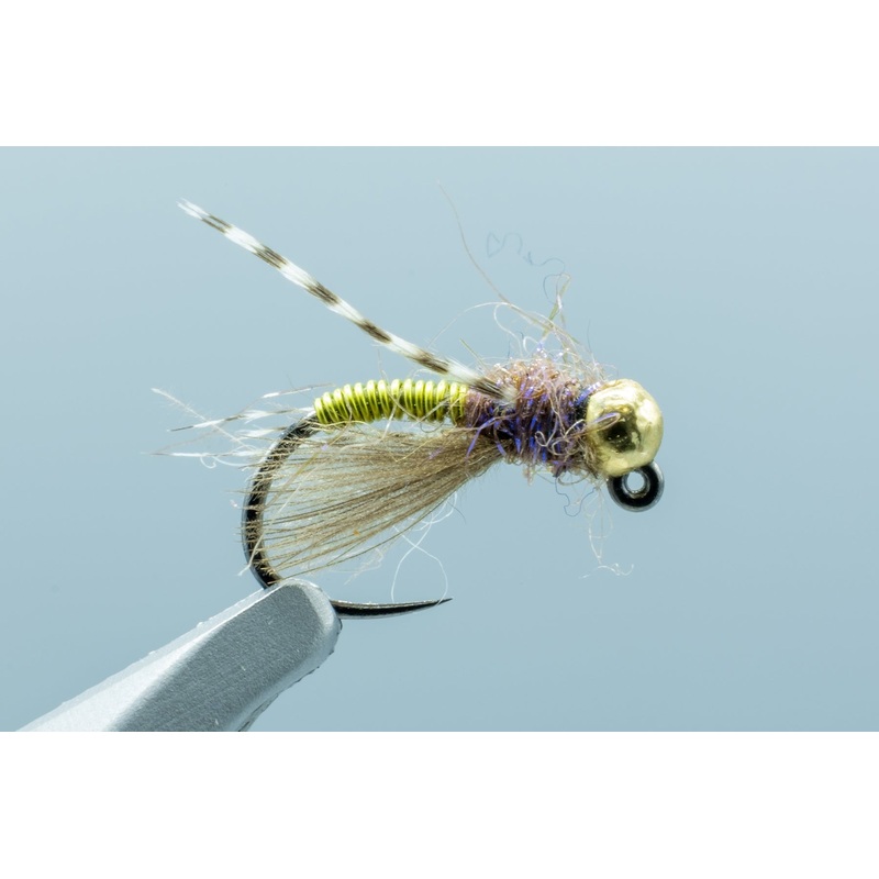 Sweet Meat Caddis Lime #16