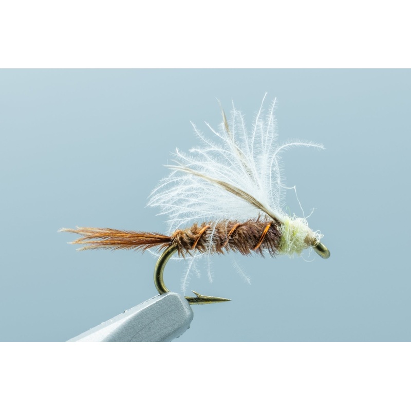 CDC Baetis Emerger PMD – 1 Doz.