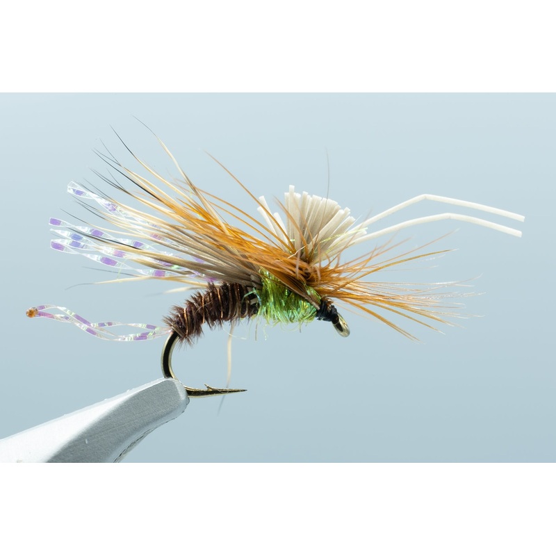 AC Caddis Pheasant Tail #16 – 1 Doz.