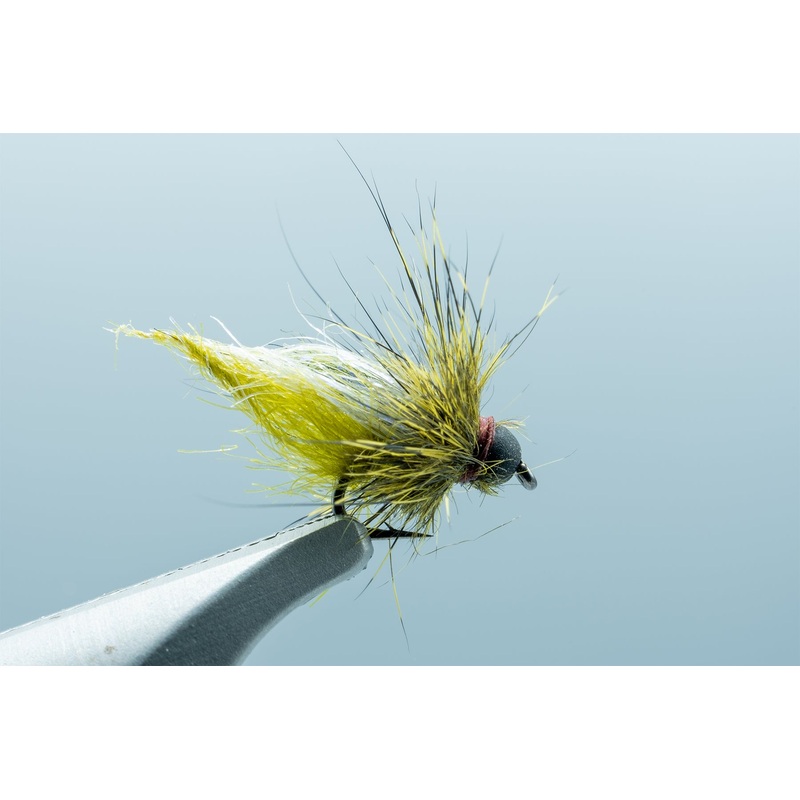 Galloup’s BH UV Caddis Pupa Olive #18
