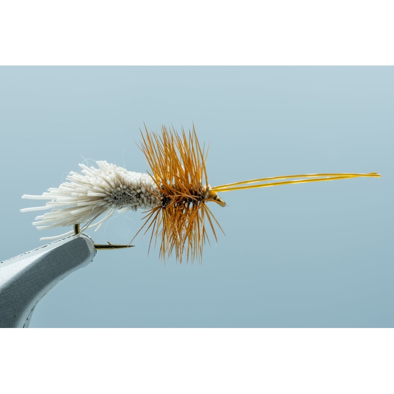 Goddard Caddis #16 1 Doz.