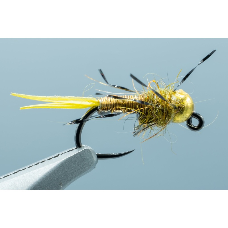 Jiggy Iron Sally #16