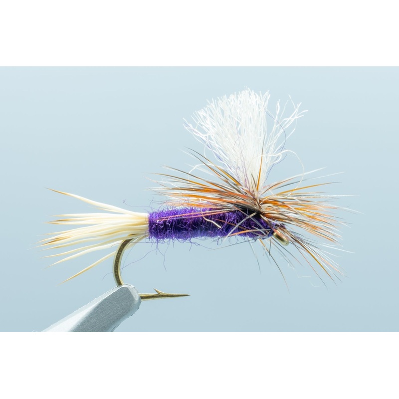 Parachute Purple 1 Doz.