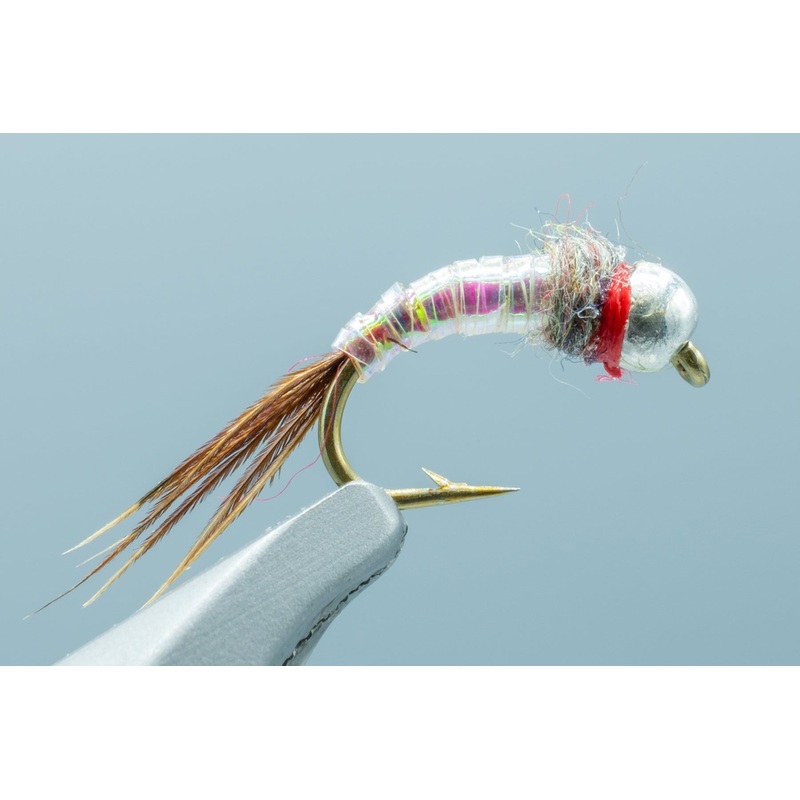 Rainbow Warrior – 1 Doz.