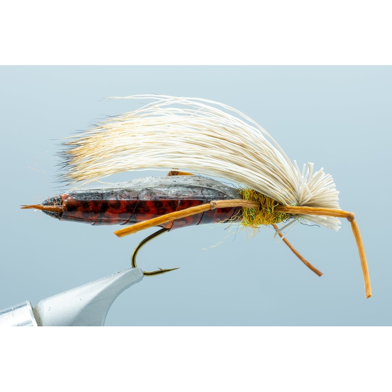 Trina’s Dog Puke Salmonfly #6