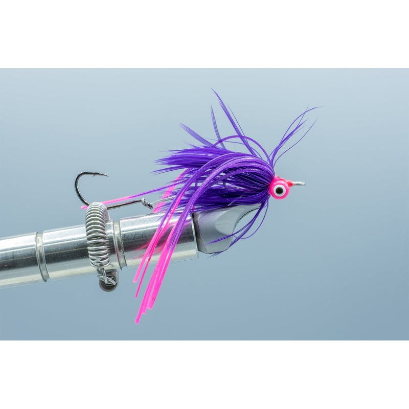 CCFCCP Purple/Pink #4