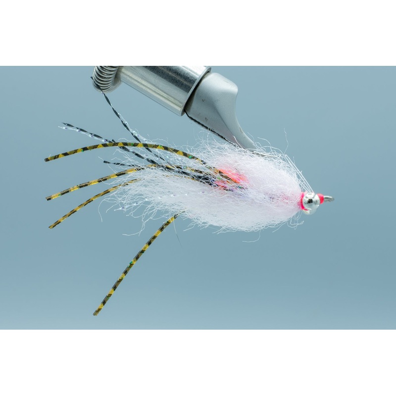 Spawning Shrimp Pink