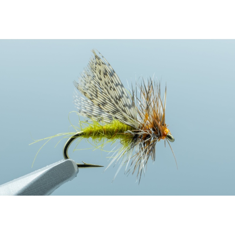 Spent Partridge Caddis Olive #16