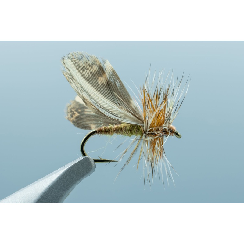 Spent Partridge Caddis Tan #16