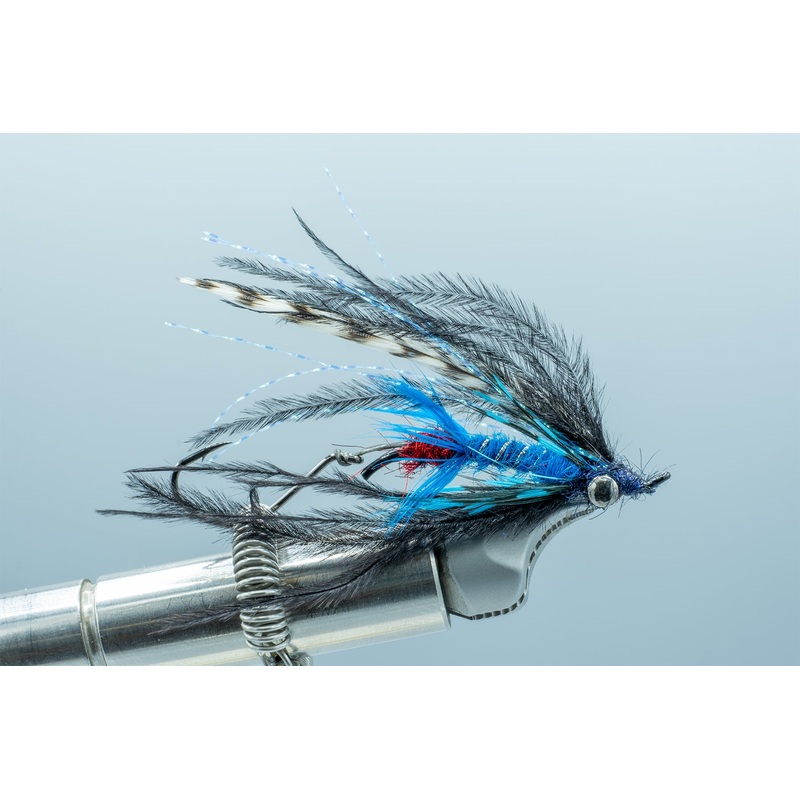 Bantam Black & Blue #4