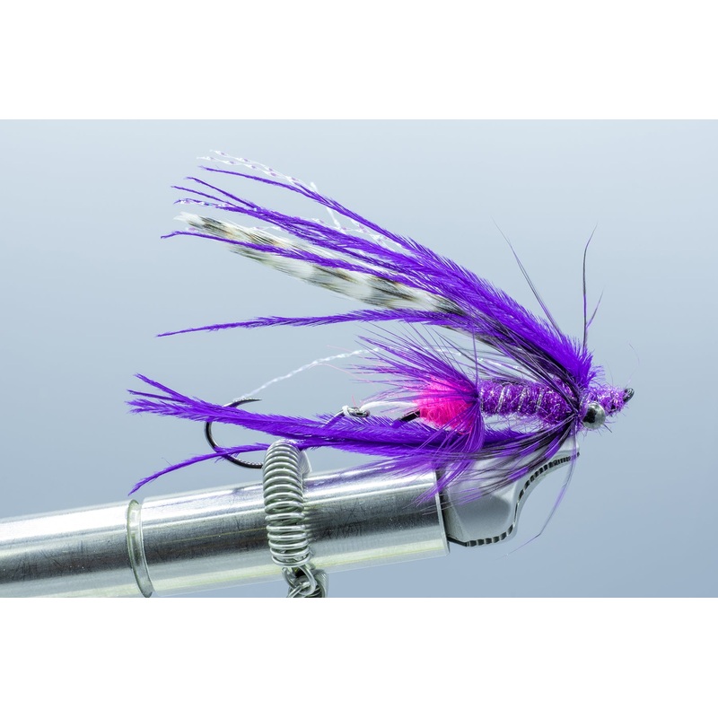 Bantam Purple #4