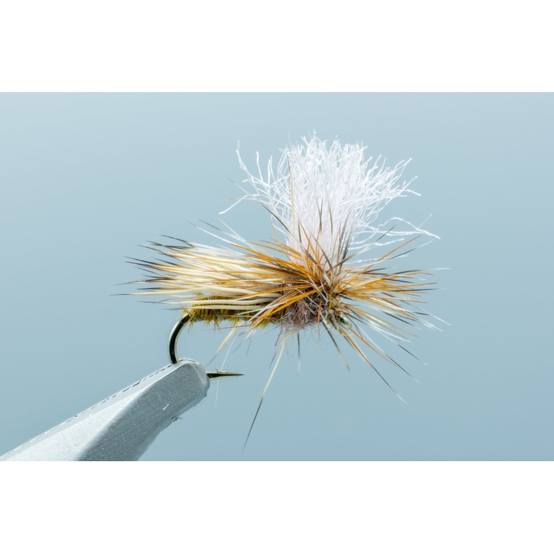 Bloom’s Parachute Caddis Olive