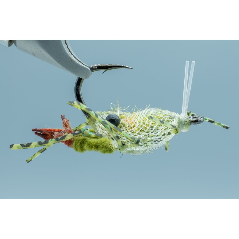 Descendent Crab Olive #1