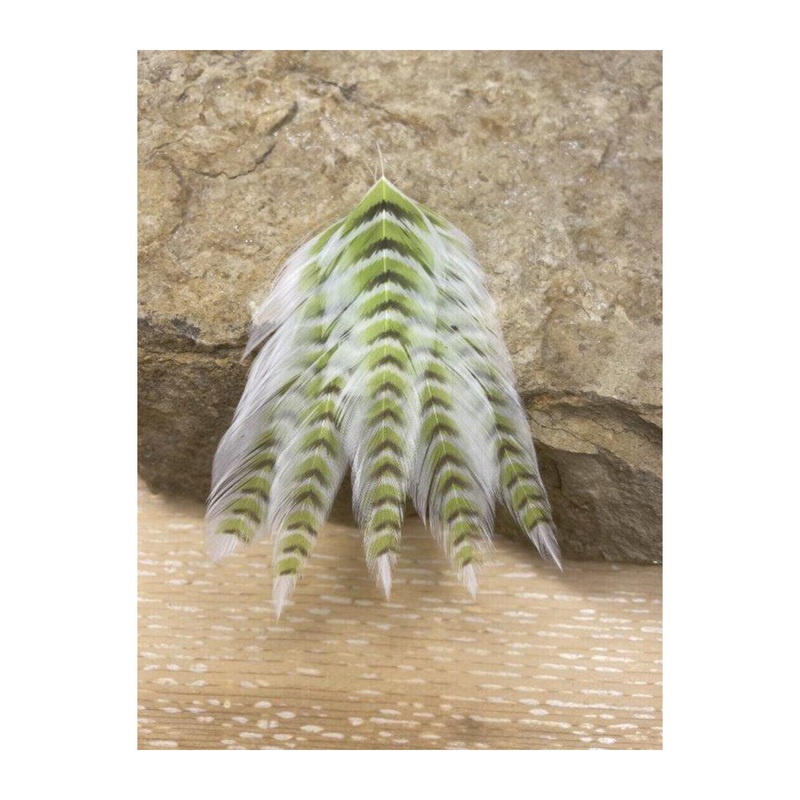 MFC Galloup’s Fish Feathers Grizzled