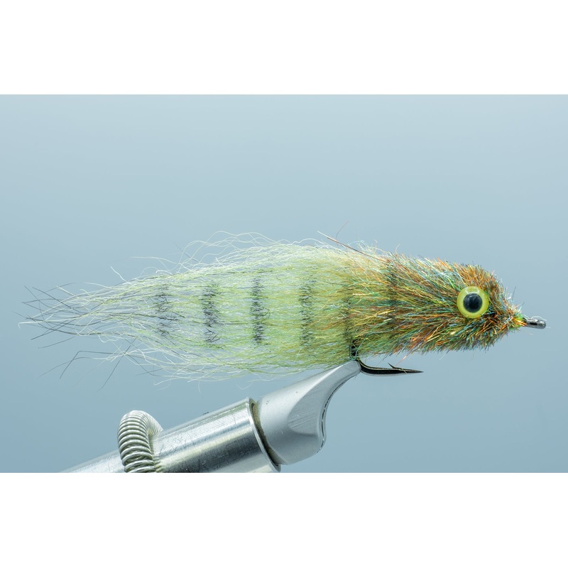 Mud Minnow Mottled Olive #2