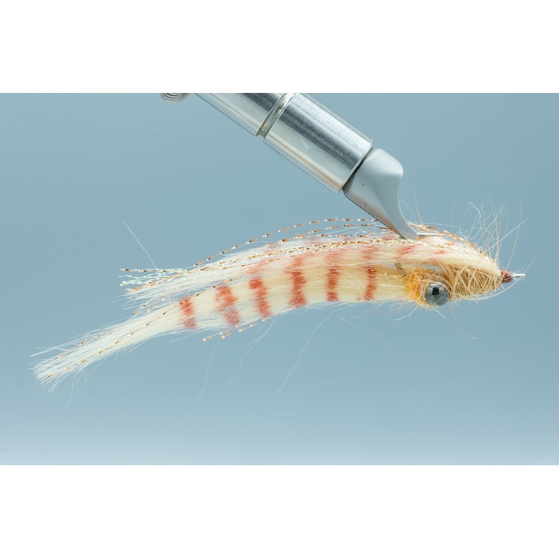 Crafty Shrimp #4
