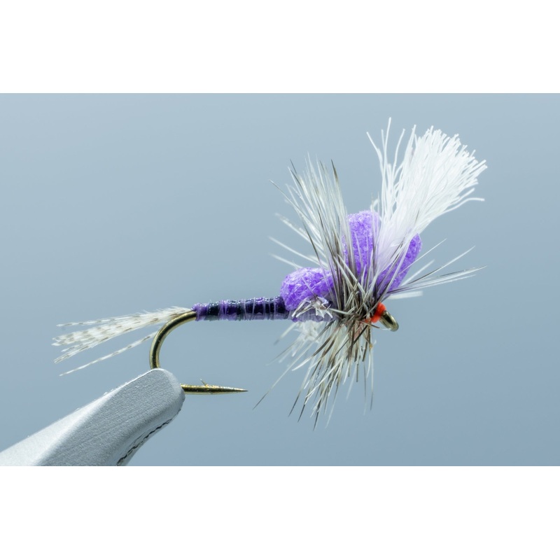 Keller’s Ms. Tickle Cripple Purple #16