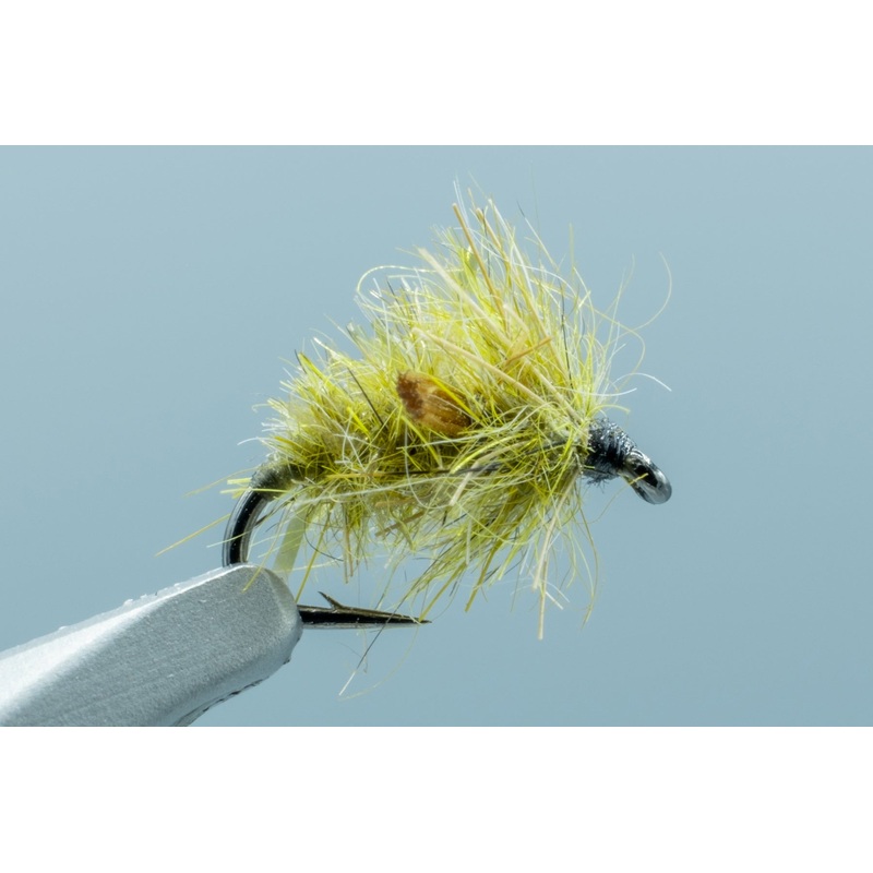 Keller’s Pick N Roll Pupa Olive #16