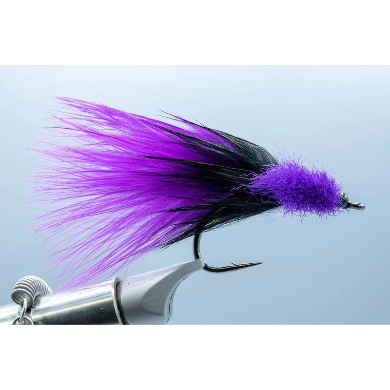 Keys Toad  Purple/Black Small