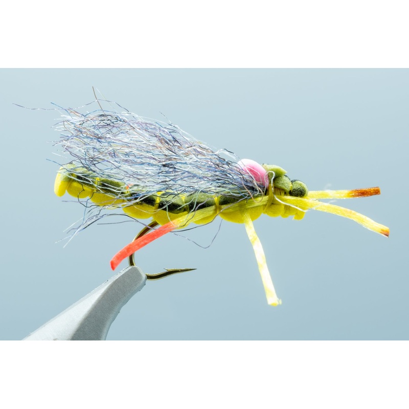 Morningwood Craven Yellow #12