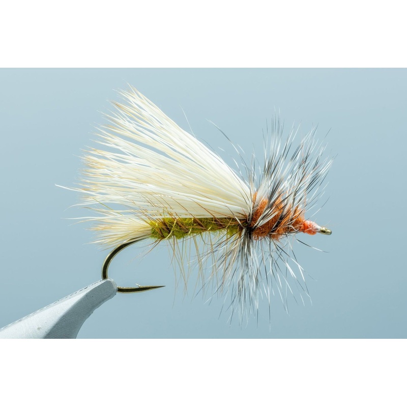 Stimulator Olive/Orange – 1 Doz.