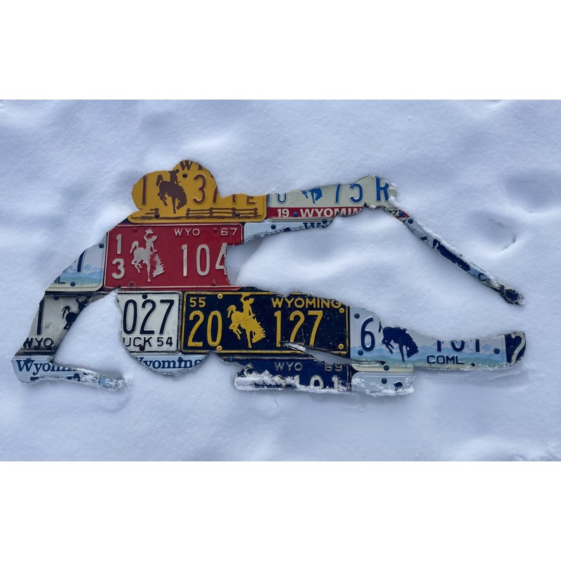 Wyoming Skier