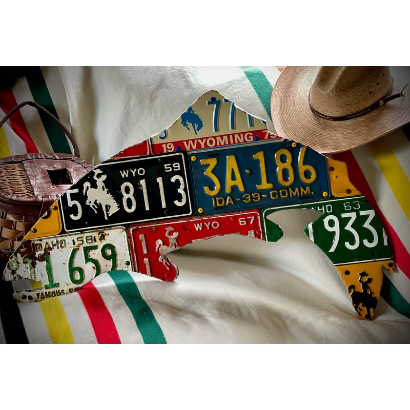 J-Hole One Fly Trout License Plate Art