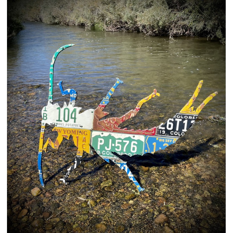 Mixed Western Stonefly License Plate Art